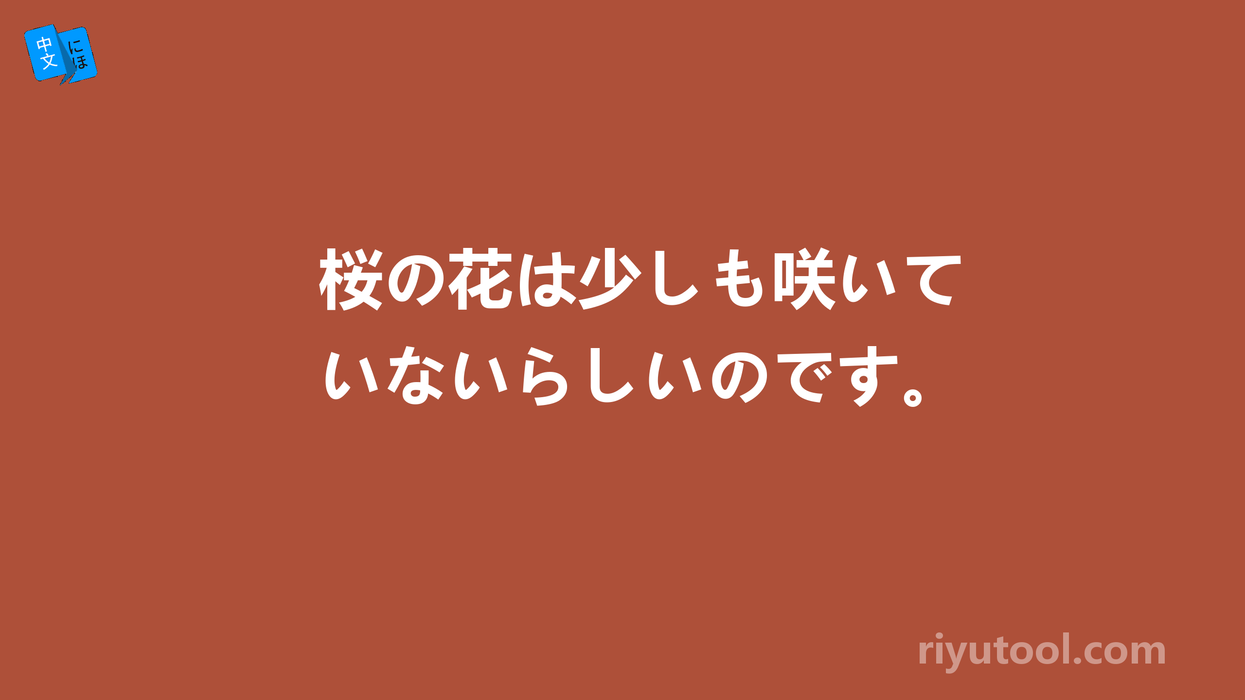 桜の花は少しも咲いていないらしいのです。