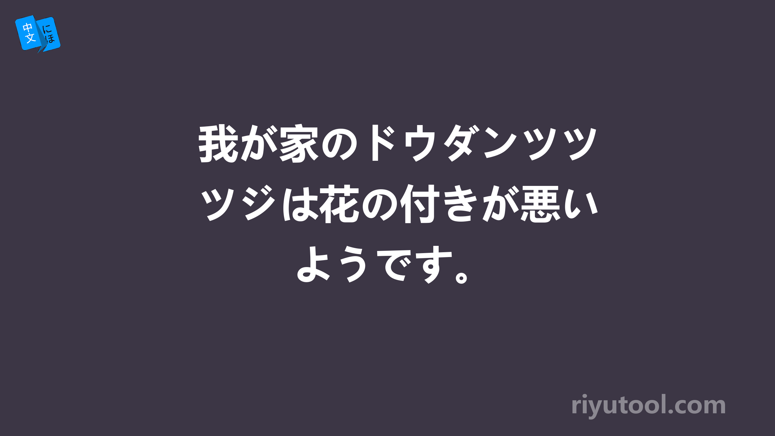 我が家のドウダンツツジは花の付きが悪いようです。