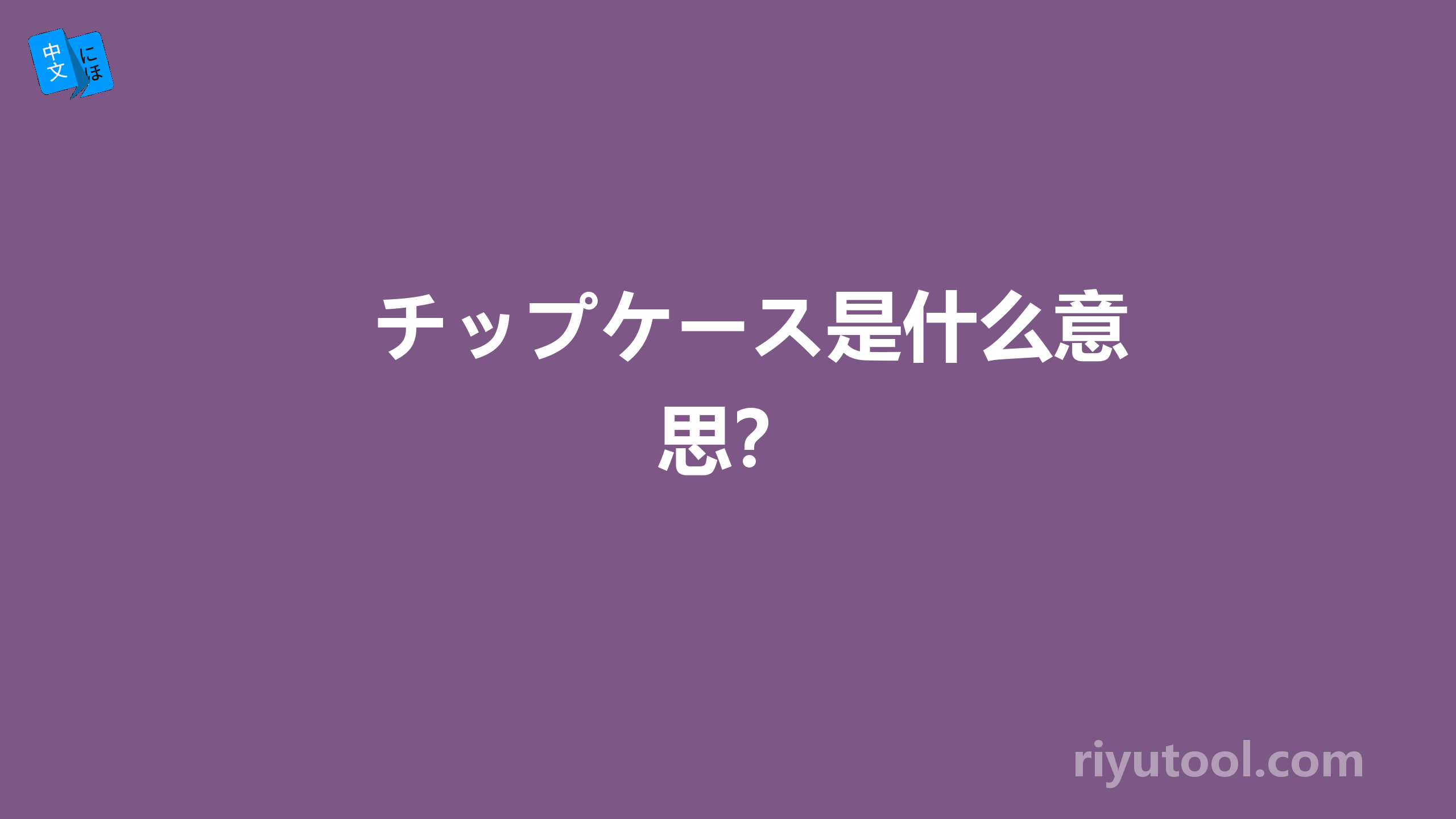 チップケース是什么意思？